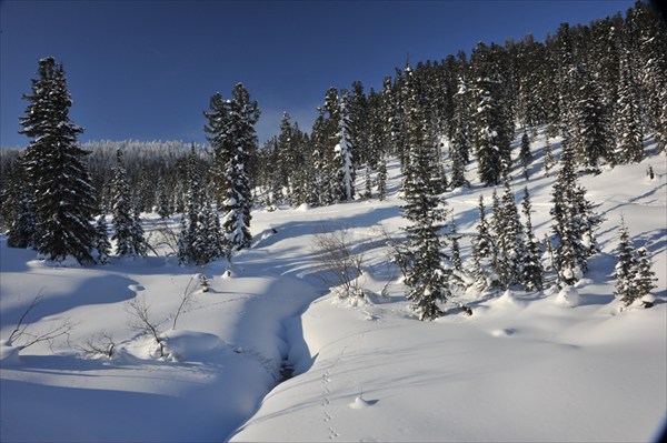 Ергаки 20.01.2011 (159)